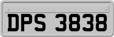 DPS3838