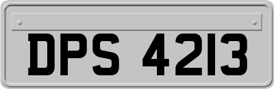 DPS4213