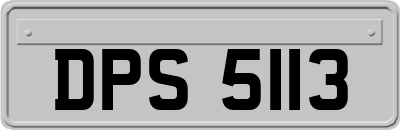 DPS5113
