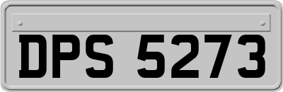 DPS5273