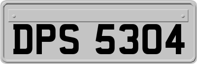 DPS5304