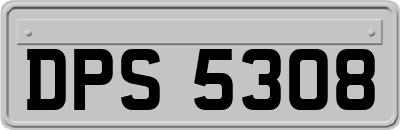 DPS5308