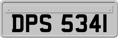 DPS5341