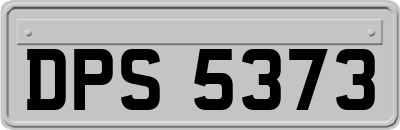 DPS5373