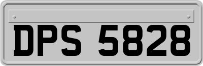DPS5828