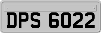DPS6022