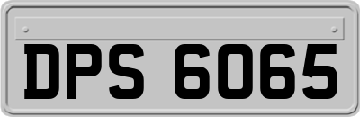 DPS6065