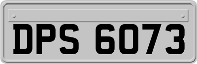 DPS6073