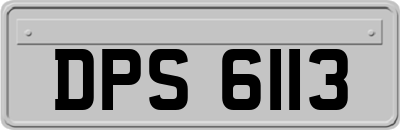 DPS6113