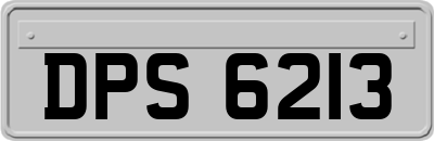 DPS6213