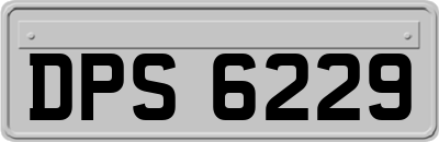 DPS6229