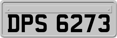 DPS6273