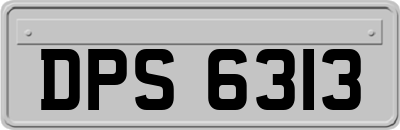 DPS6313