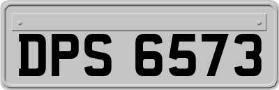 DPS6573
