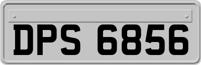 DPS6856