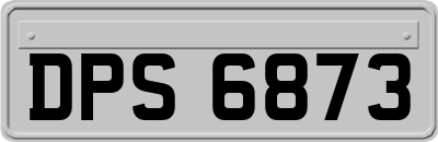 DPS6873