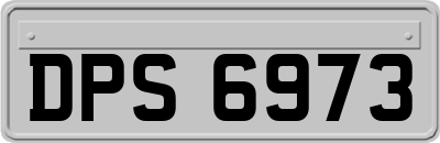 DPS6973