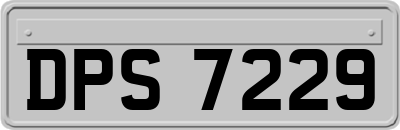 DPS7229
