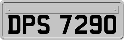 DPS7290
