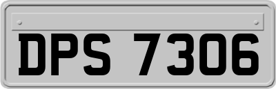DPS7306