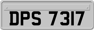 DPS7317