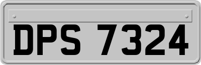 DPS7324
