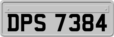 DPS7384