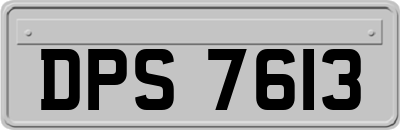 DPS7613