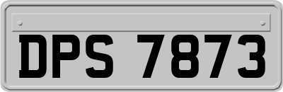 DPS7873