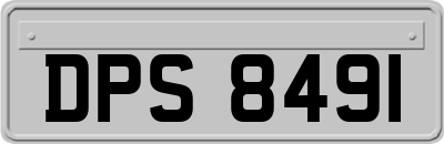 DPS8491
