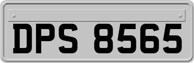 DPS8565