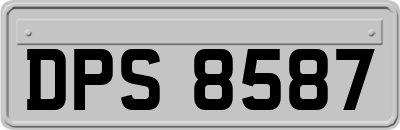 DPS8587