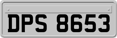 DPS8653