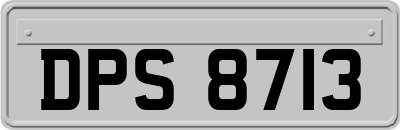 DPS8713