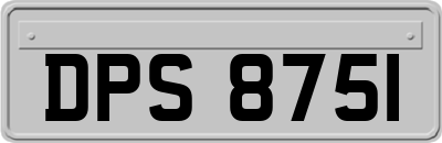 DPS8751