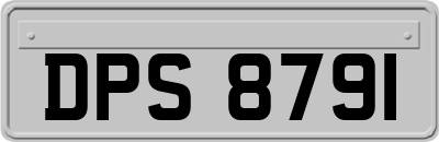 DPS8791