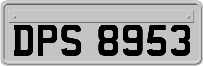 DPS8953