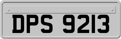 DPS9213