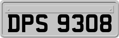 DPS9308
