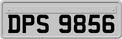 DPS9856