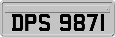 DPS9871