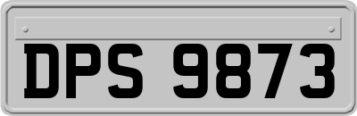 DPS9873