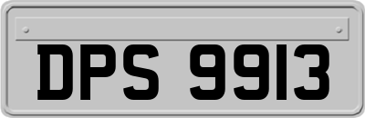 DPS9913