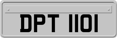 DPT1101