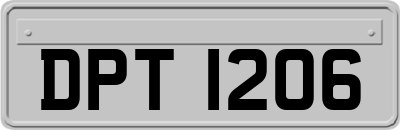 DPT1206