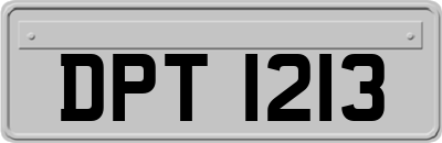 DPT1213