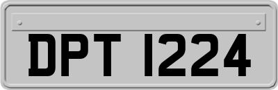DPT1224