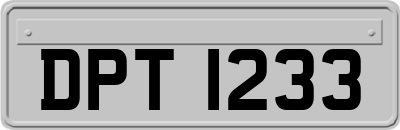 DPT1233