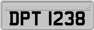 DPT1238