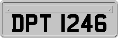 DPT1246